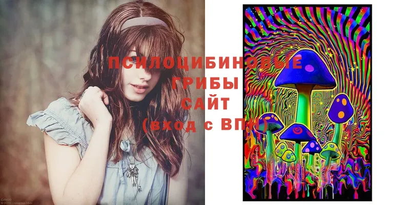 сайты даркнета какой сайт  Горбатов  Псилоцибиновые грибы Psilocybine cubensis 